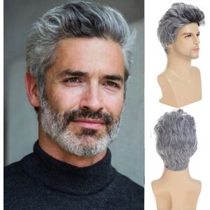 Dsimeig Men Short Gray Wig Synthetic Heat Resistant Natural Halloween Cosplay Hair Wig Dsimeig Men Short Gray Wig Synthetic Heat Resistant Natural Halloween Cosplay Hair Wig