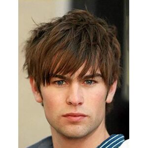 Baruisi Mens Short Wig Brown Layered Natural Synthetic Costume Cosplay Hair Wig Baruisi Mens Short Wig Brown Layered Natural Synthetic Costume Cosplay Hair Wig