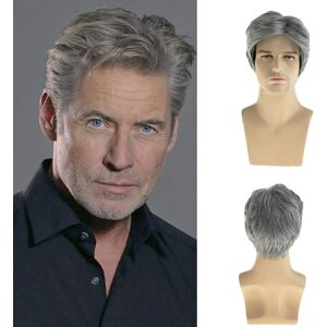 Dsimeig Men Wigs Short Grey Wig Synthetic Heat Resistant Natural Halloween Cosplay Dsimeig Men Wigs Short Grey Wig Synthetic Heat Resistant Natural Halloween Cosplay