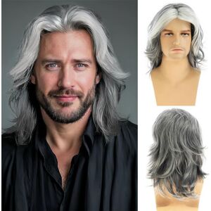 Baruisi Mens Wig Grey Long Straight Synthetic Heat Resistant Costume Cosplay Ha Baruisi Mens Wig Grey Long Straight Synthetic Heat Resistant Costume Cosplay Ha