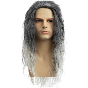 Qnbiar Long Curly Wavy Grey Wigs For Men Synthetic Natural Party Halloween Cosplay Hai Qnbiar Long Curly Wavy Grey Wigs For Men Synthetic Natural Party Halloween Cosplay Hai