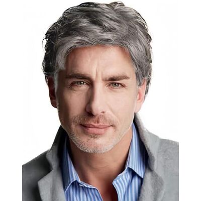 Salaibs Grey Short Wigs For Men Natural Layered Synthetic Hair Wig Realistic Heat Resis Salaibs Grey Short Wigs For Men Natural Layered Synthetic Hair Wig Realistic Heat Resis
