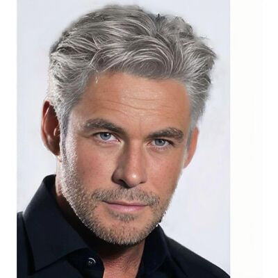 siudus Siudus Mens Grey Short Wig Side Part Layered Realistic Hair Wigs Natural Synthe siudus Siudus Mens Grey Short Wig Side Part Layered Realistic Hair Wigs Natural Synthe