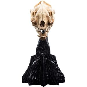 Weta Workshop Lord Of The Rings Mini Statue Skull Of A Warg 20 Cm Weta Workshop Lord Of The Rings Mini Statue Skull Of A Warg 20 Cm