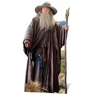 Star Cutouts Ltd Star Cutouts Sc667 Gandalf The Lord Of The Rings Cardboard Cut Out Star Cutouts Ltd Star Cutouts Sc667 Gandalf The Lord Of The Rings Cardboard Cut Out