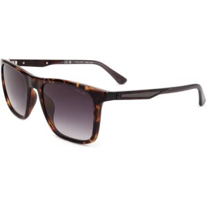 Police Splf17m 0978 Shiny Dark Havana 54/19/145 Man Sunglasses Police Splf17m 0978 Shiny Dark Havana 54/19/145 Man Sunglasses