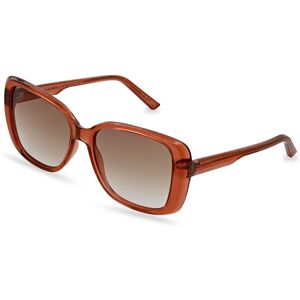 Ted Baker Ladies Tb1640 220 - Acetate Frame - Ladies - Includes Case Ted Baker Ladies Tb1640 220 - Acetate Frame - Ladies - Includes Case