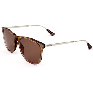 Police Spl776m 07la Havana, Opaline Pink 54/19/145 Man Sunglasses Police Spl776m 07la Havana, Opaline Pink 54/19/145 Man Sunglasses