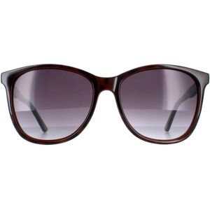 Ted Baker Sunglasses Alva Tb1496 112 Tortoiseshell Grey Gradient Ted Baker Sunglasses Alva Tb1496 112 Tortoiseshell Grey Gradient