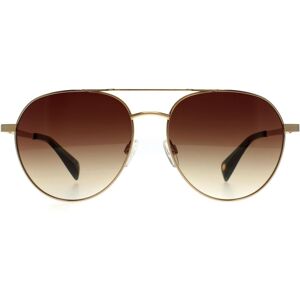 Ted Baker Sunglasses Tb1682 Konrad 407 Antique Gold Brown Gradient Ted Baker Sunglasses Tb1682 Konrad 407 Antique Gold Brown Gradient
