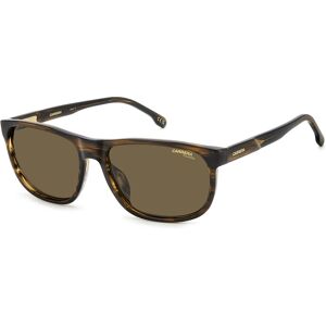 Carrera C Flex 08/g/s Ex4 Brown Horn 58/17/145 Man Sunglasses Carrera C Flex 08/g/s Ex4 Brown Horn 58/17/145 Man Sunglasses
