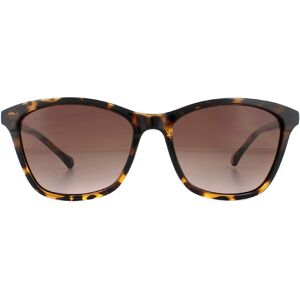Ted Baker Sunglasses Tb1440 Tari 122 Havana Brown Gradient Ted Baker Sunglasses Tb1440 Tari 122 Havana Brown Gradient