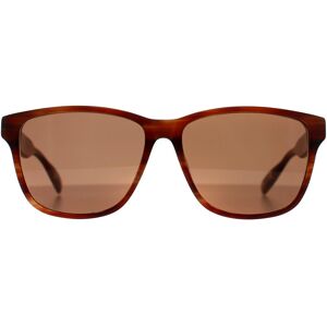 Ted Baker Sunglasses Tb8232 151 Brown Horn Brown Ted Baker Sunglasses Tb8232 151 Brown Horn Brown