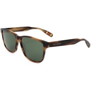 Ted Baker Tb8232 155 Brown Horn/beige 56/14/145 Man Sunglasses Ted Baker Tb8232 155 Brown Horn/beige 56/14/145 Man Sunglasses