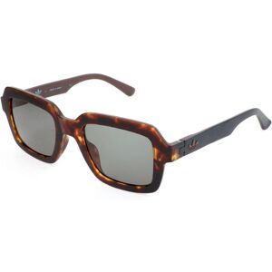 adidas Aor021 Cl1646 148.009 Havana Brown And Black 50/22/145 Unisex Sunglasses adidas Aor021 Cl1646 148.009 Havana Brown And Black 50/22/145 Unisex Sunglasses