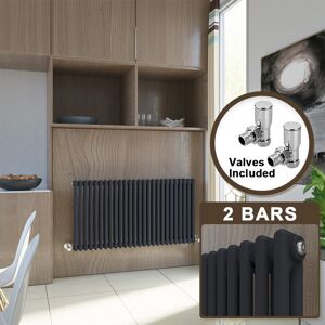 Elegant Traditional Cast Iron Radiator Horizontal 2 Column Rad Grey 600x1190 With Valves Elegant Traditional Cast Iron Radiator Horizontal 2 Column Rad Grey 600x1190 With Valves