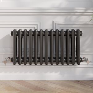 Radilux 300x605mm Traditional Colosseum Horizontal Double Bar Column Radiator Black Radilux 300x605mm Traditional Colosseum Horizontal Double Bar Column Radiator Black