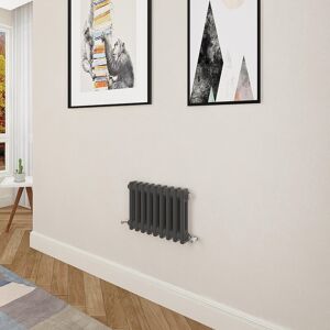 Aica Traditional Cast Iron Style Radiator Horizontal 300x425mm 2 Column Black Aica Traditional Cast Iron Style Radiator Horizontal 300x425mm 2 Column Black