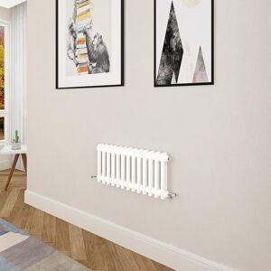 Aica Traditional Cast Iron Style Radiator Horizontal 300x605mm 2 Column White Aica Traditional Cast Iron Style Radiator Horizontal 300x605mm 2 Column White