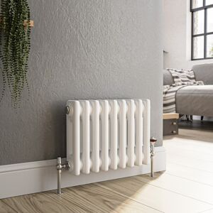 Reggio White Horizontal Double Column Traditional Radiator 300x425m Hcd9-300-Wct Reggio White Horizontal Double Column Traditional Radiator 300x425m Hcd9-300-Wct