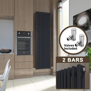 Elegant Traditional Cast Iron Radiator Vertical 2 Column Rad Grey 1800x560 With Valves Elegant Traditional Cast Iron Radiator Vertical 2 Column Rad Grey 1800x560 With Valves