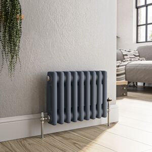 Reggio Anthracite Horizontal Double Column Traditional Radiator 30 Hcd9-300-Dgct Reggio Anthracite Horizontal Double Column Traditional Radiator 30 Hcd9-300-Dgct
