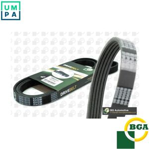 Bga Vribbed Belt 5pk778e For Alfa Romeo Fiat 500/c Punto/hatchback/van/pure Panda Bga Vribbed Belt 5pk778e For Alfa Romeo Fiat 500/c Punto/hatchback/van/pure Panda