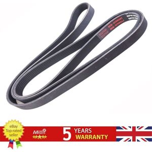 Master Sport V-Ribbed Belt For Alfa Romeo 145 146 147 156 Gtv Spider 60630747 Master Sport V-Ribbed Belt For Alfa Romeo 145 146 147 156 Gtv Spider 60630747