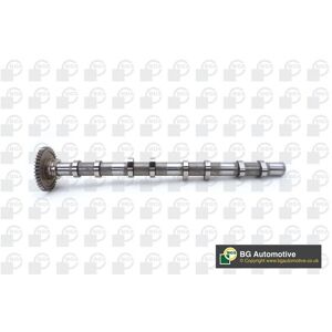 Camshaft Exhaust Side Fits Bmw 1 Series 2 Series 3 Series X1 X2 Mini Bga Cs0902 Camshaft Exhaust Side Fits Bmw 1 Series 2 Series 3 Series X1 X2 Mini Bga Cs0902