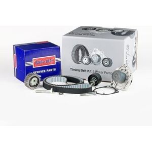 Borg & Beck Btw1081 Water Pump & Timing Belt Kit Fits Alfa Romeo Cadillac Fiat Borg & Beck Btw1081 Water Pump & Timing Belt Kit Fits Alfa Romeo Cadillac Fiat