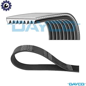 Dayco 8PK2482HD V-ribbed belt - V-ribbed belt Dayco 8PK2482HD V-ribbed belt - V-ribbed belt