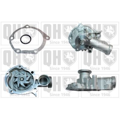 QUINTON HAZELL QCP3615 Water Pump - Mitsubishi Lancer 6, 7 & Outlander I SUV QUINTON HAZELL QCP3615 Water Pump - Mitsubishi Lancer 6, 7 & Outlander I SUV