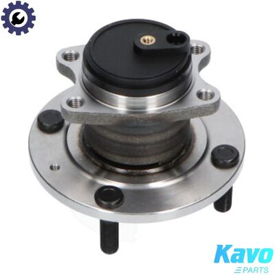 Kavo Parts WBH-5527 Rear Wheel Bearing Kit with ABS Sensor - Wheel Bearing Kavo Parts WBH-5527 Rear Wheel Bearing Kit with ABS Sensor - Wheel Bearing