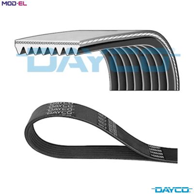 DAYCO 8PK2347HD V-ribbed belt - V-ribbed belt DAYCO 8PK2347HD V-ribbed belt - V-ribbed belt