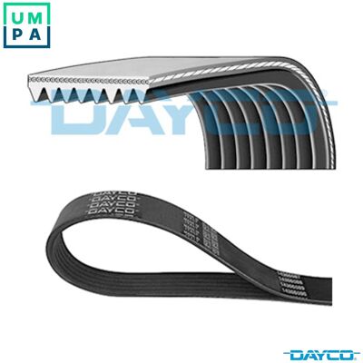 DAYCO Model 8PK1520HD V-ribbed belt - V-ribbed belt DAYCO Model 8PK1520HD V-ribbed belt - V-ribbed belt