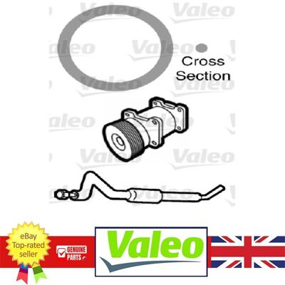 VALEO Coolant Pipe Seal - Engine Cooling System VALEO Coolant Pipe Seal - Engine Cooling System