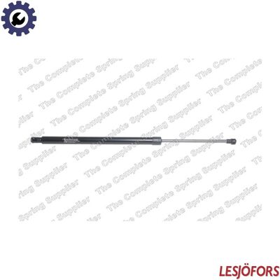 Lesjöfors Gas spring - Rear Tailgate - Gas spring for tailgate or trunk Lesjöfors Gas spring - Rear Tailgate - Gas spring for tailgate or trunk