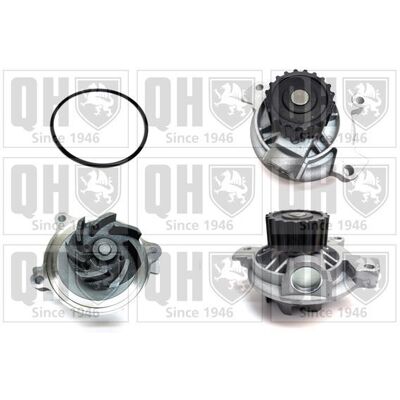 QUINTON HAZELL QCP3620 - Water Pump for Volkswagen, Audi - Transmission Belt Compatible QUINTON HAZELL QCP3620 - Water Pump for Volkswagen, Audi - Transmission Belt Compatible