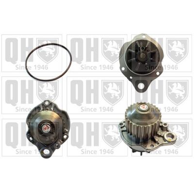 QUINTON HAZELL QCP3375 - Water Pump for Timing Belt - Automotive Part QUINTON HAZELL QCP3375 - Water Pump for Timing Belt - Automotive Part