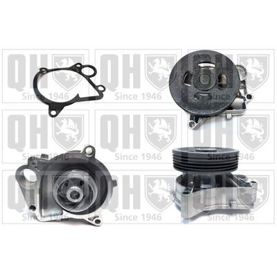 QUINTON HAZELL QCP3373 Water Pump - BMW Seals QUINTON HAZELL QCP3373 Water Pump - BMW Seals