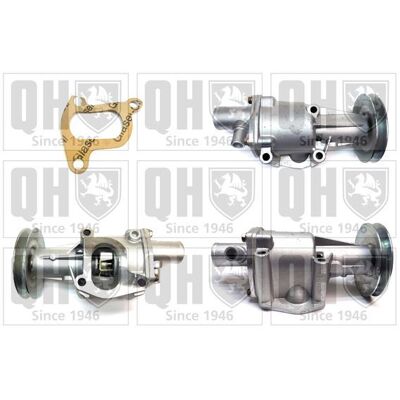 QUINTON HAZELL - Water Pump - with seals for FIAT Panda I 3/5 doors, Cinquecento, Seicento - Water Pump QUINTON HAZELL - Water Pump - with seals for FIAT Panda I 3/5 doors, Cinquecento, Seicento - Water Pump