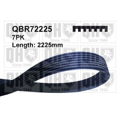QUINTON HAZELL QBR72225 - Poly-V Belt - 2225mm - V-belt QUINTON HAZELL QBR72225 - Poly-V Belt - 2225mm - V-belt