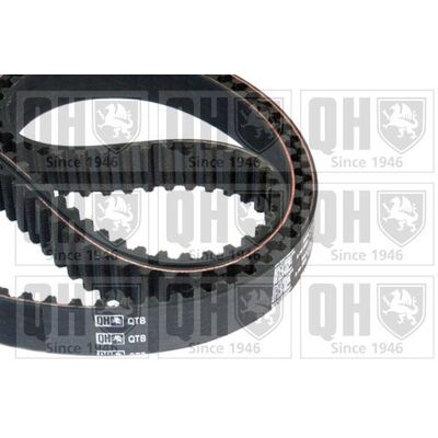 QUINTON HAZELL - QTB633 - Teeth 202 QUINTON HAZELL - QTB633 - Teeth 202