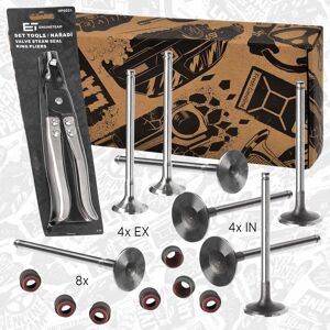 Et Engineteam Valve Set With Elring 701.289 And Pliers For Citroen 1.2 1.4 96020124 97533266 Et Engineteam Valve Set With Elring 701.289 And Pliers For Citroen 1.2 1.4 96020124 97533266