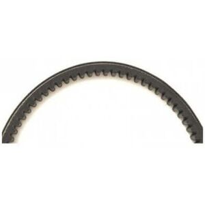 Mitsuboshi 125 Bws / Looxor / Atlantic-Mojito-Sr Max-Sport Max - Transmission Belt / 10 Mitsuboshi 125 Bws / Looxor / Atlantic-Mojito-Sr Max-Sport Max - Transmission Belt / 10