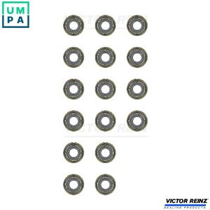 REINZ Toyota Valve Stem Seal Kit - Valve Stem Seal REINZ Toyota Valve Stem Seal Kit - Valve Stem Seal