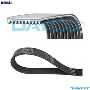 Dayco Vribbed Belt 10pk2450hd For Scania G/ii Dc9.12/13/16/11/18/17 Dc9e.02 8.9l 5cyl Dayco Vribbed Belt 10pk2450hd For Scania G/ii Dc9.12/13/16/11/18/17 Dc9e.02 8.9l 5cyl