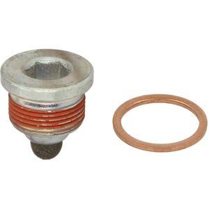 2x ✅fits Dt Spare Parts 2.91310 Screw Plug, Oil Sump 2.91310 Oil Sum ⭐uk Seller⭐ 2x ✅fits Dt Spare Parts 2.91310 Screw Plug, Oil Sump 2.91310 Oil Sum ⭐uk Seller⭐