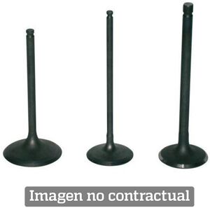 Prox Titanium Valve Ø35.00 L 84.60 Ø 5.50 Prox Titanium Valve Ø35.00 L 84.60 Ø 5.50