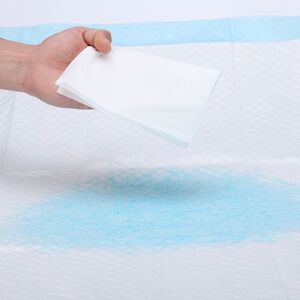 Care+ 75pcs Disposable Elderly Underpad Adult Bed Under Pad Urine Pad Mat Maternal Sg5 Care+ 75pcs Disposable Elderly Underpad Adult Bed Under Pad Urine Pad Mat Maternal Sg5